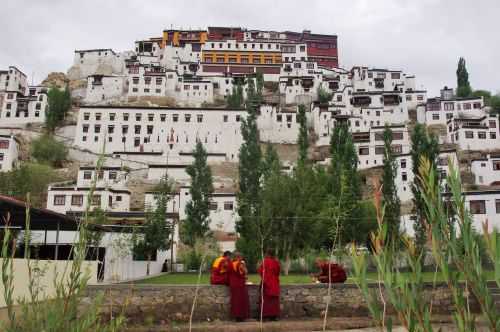 TREKKING IN LADAKH | CHANGTANG 2017